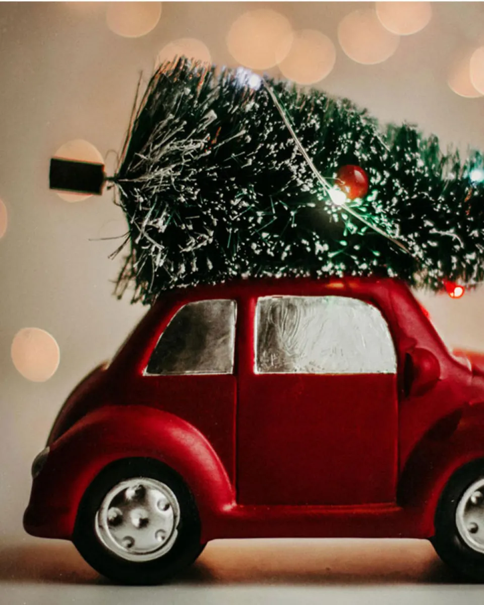 13.01.2024 – Weihnachtsbäume einsammeln und Abnahme der Weihnachtsbeleuchtung