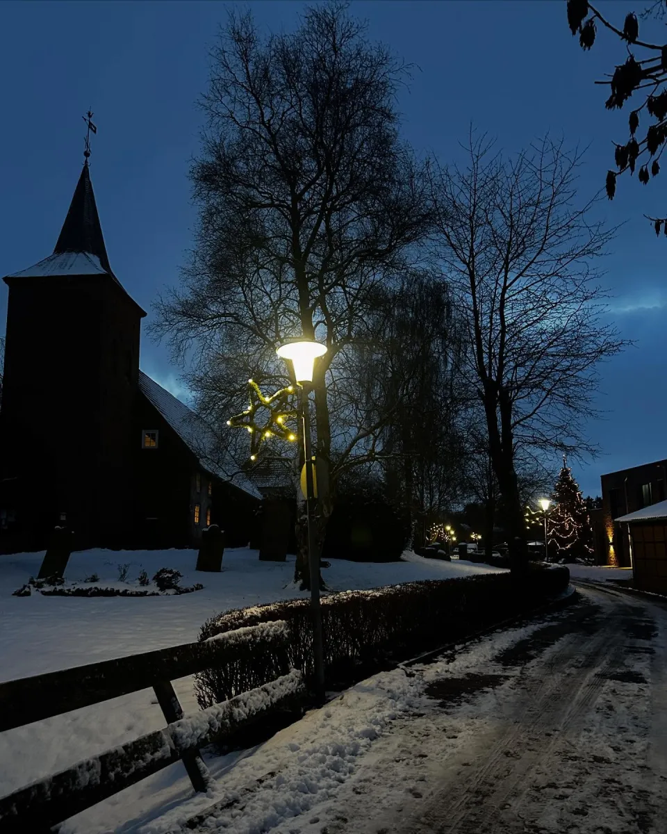 +++Save the date: Abnahme der Weihnachtsbeleuchtung und Einsammeln der Weihnachtsbäume// Sa., 10.01.2026 // 9:00 Uhr +++ …
